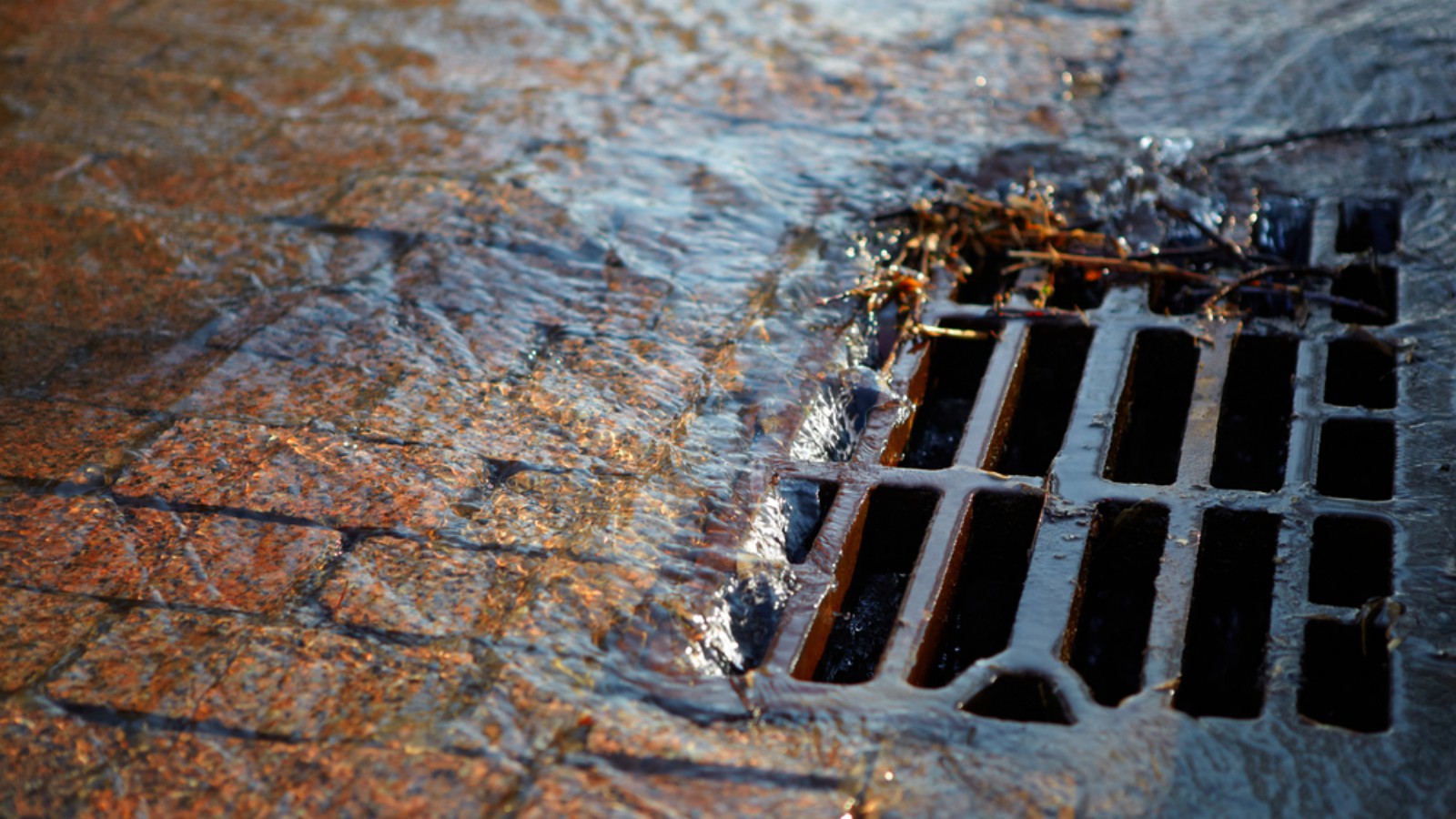 Drains Unblocked Fast, Call Us Today!